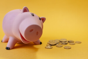 piggy bank with coin stacks